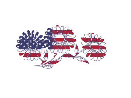 July 4th coneflower, fourth of July designのイラスト素材