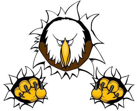 bald eagle tearing out with talonsのイラスト素材