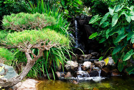 Beautiful green gardenの写真素材