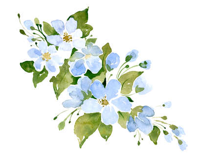 Apple Tree Flowers. Watercolor hand Painted Illustration. Design elements for women, floral patterns. This watercolor.の写真素材