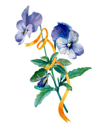 Blue pansy flower with a satin ribbon, isolated watercolor illustration. Flower card with flowers. Botanical illustration. It can be used as greeting card, invitation card for wedding, birthday.の写真素材