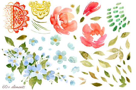 Set of floral elements rose, rosehip or peony, foliage, openwork pattern and abstract spots. Watercolor illustrationの写真素材