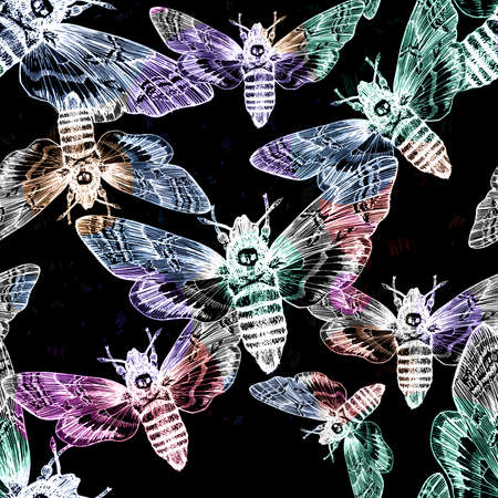 Seamless pattern. Butterfly dead head, adams head. Black and white graphics handmade. Patternの写真素材