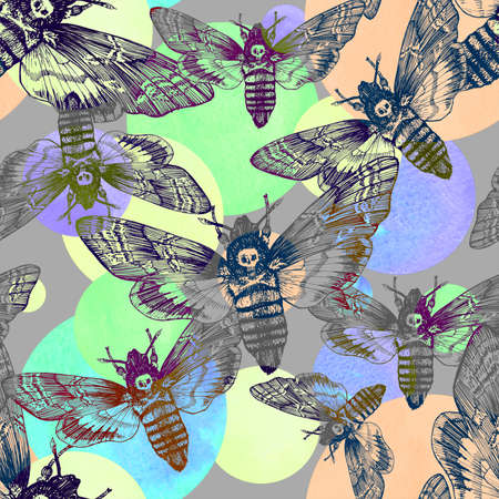 Seamless pattern. Butterfly dead head, adams head. Black and white graphics handmade. Patternの写真素材