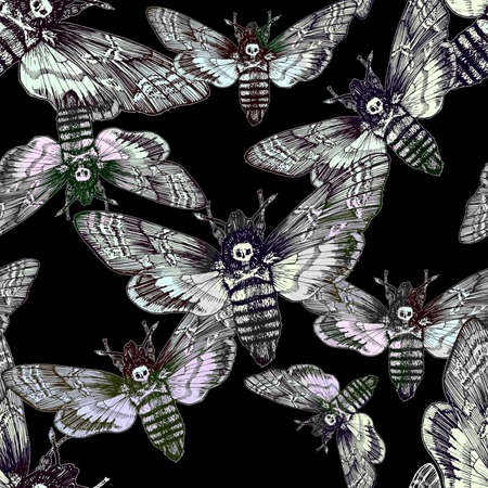 Seamless pattern. Butterfly dead head, adam's head. Black and white graphics handmade.の写真素材