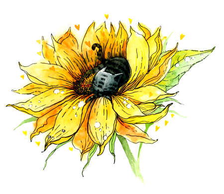 A cute cat that sleeps on a sunflower. Watercolor illustration, handworkの写真素材