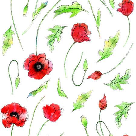 Red poppies Hand graphics, watercolor work. Wildflowers.の写真素材