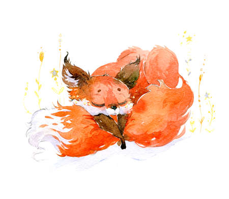 Sleeping star fox. Red fox and yellow star flowers. Watercolor illustration.の写真素材