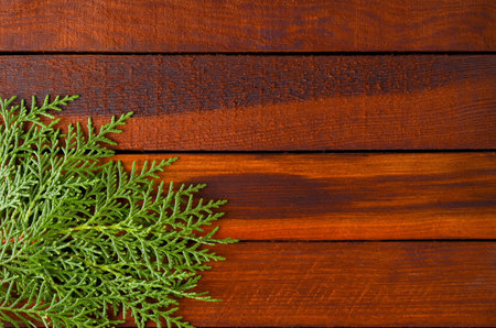 Green branches on a wooden background