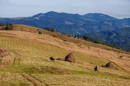 Big reaps on mountain backgroundの写真素材
