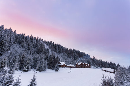 Wooden houses in winter snowy forest