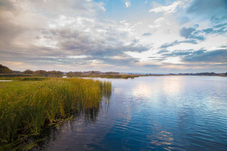 Green reed near water on amazing sky backgroundの写真素材