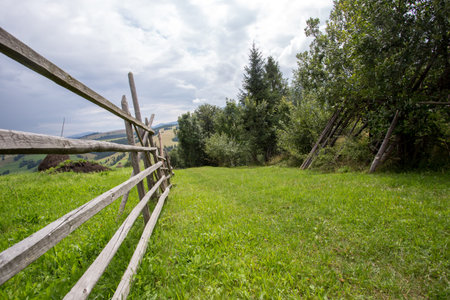 The Green glade on mountain background