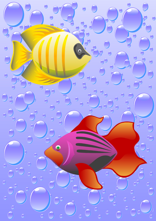 vector drawing tropical fish against a backdrop of bubbles. The file is saved in eps format for illustrator 8 versions. items easily separated from the background for separate use.のイラスト素材
