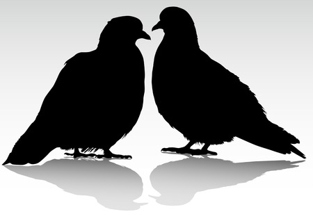drawing of two doves, sitting nextのイラスト素材