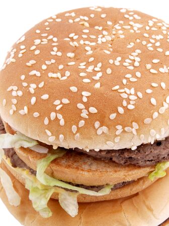 Color photograph of a large hamburger on a white background       の写真素材