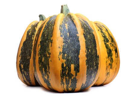 Color photo of pumpkins on a white backgroundの写真素材