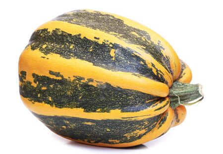 Color photo of pumpkins on a white backgroundの写真素材