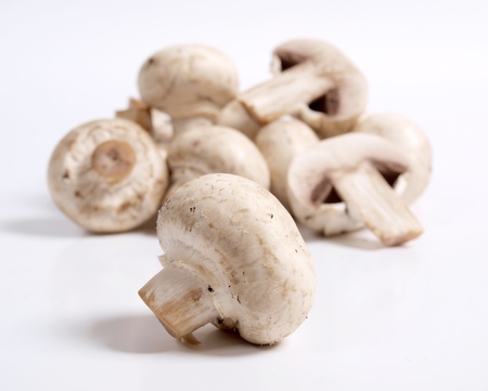 Color photo of white champignons     の写真素材