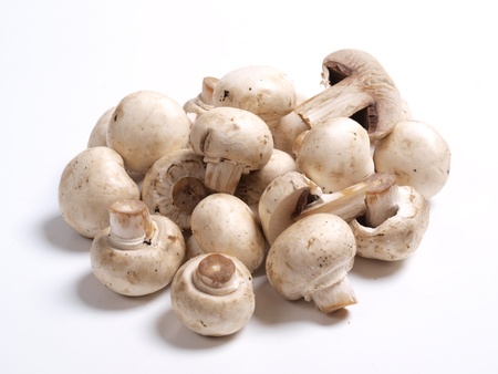 Color photo of white champignons   の写真素材