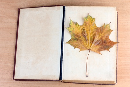 Photo of book and maple leafの写真素材