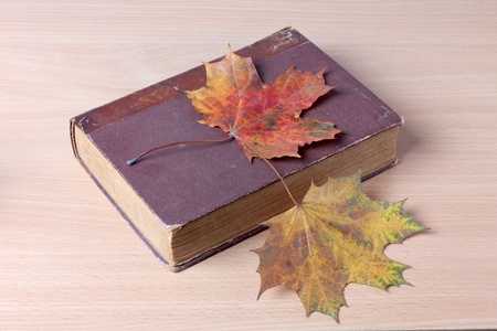 Photo of book and maple leafの写真素材