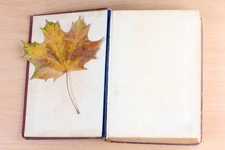 Photo of book and maple leafの写真素材