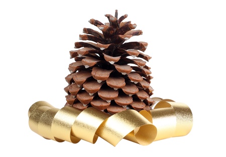 Color photo of a large fir cones and ribbonの写真素材