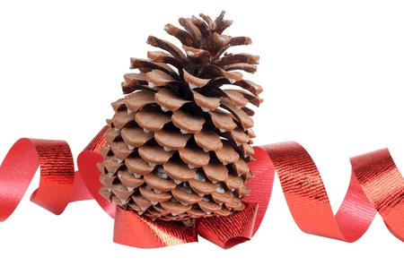 Color photo of a large fir cones and ribbonの写真素材
