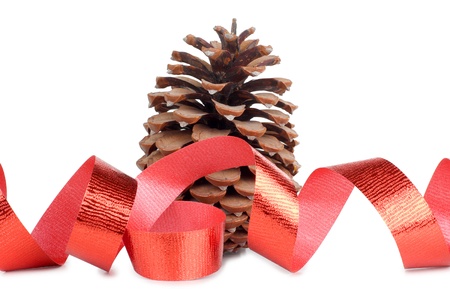 Color photo of a large fir cones and ribbonの写真素材