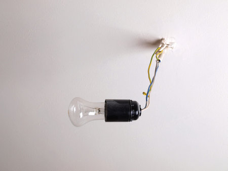 Electric lamp on a white ceiling