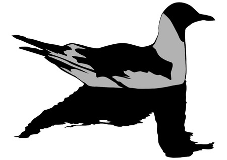Seagull sitting on the water on a white backgroundのイラスト素材