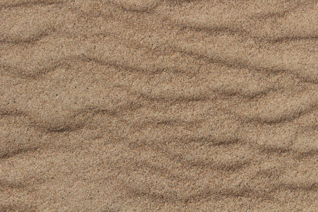Background of the herd of sea sand