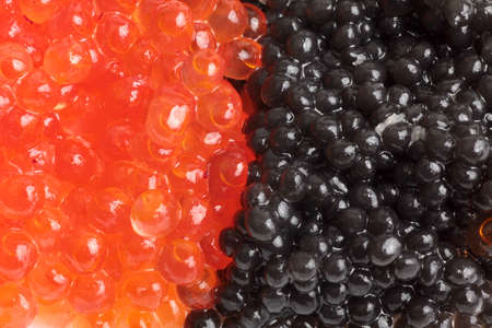 Fish caviar in a plate on a white backgroundの写真素材