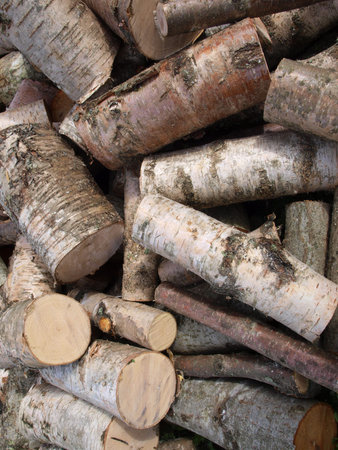 Pile of old birch firewood background
