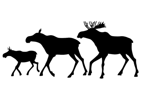 Wild elk family on a white backgroundのイラスト素材