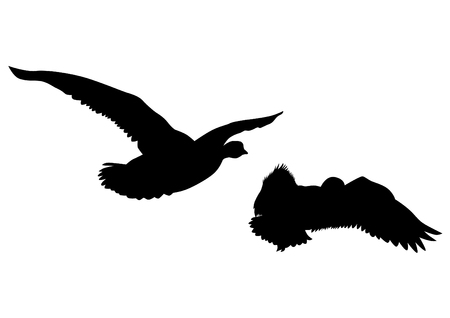 Wild ducks flock on white backgroundのイラスト素材