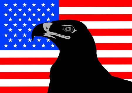 Big eagle head on american flag backgroundのイラスト素材
