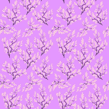 Seamless watercolor floral pattern of sakura on white backgroundの写真素材