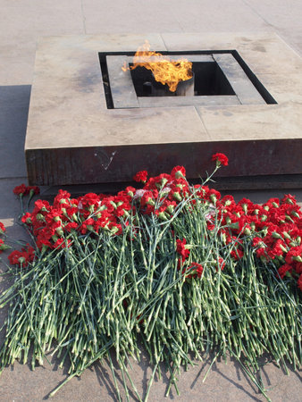 Many red carnations at the war memorial with eternal flame