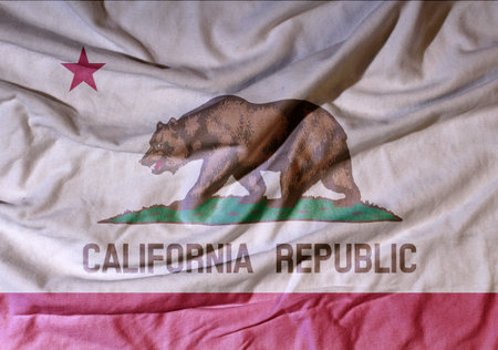 Flag of the American state flies in the wind. Colored background on fabricの写真素材