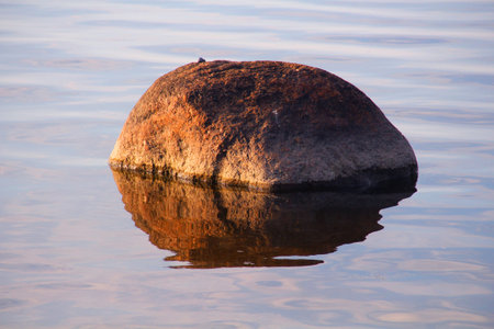 Large stones in the water in wildlife at sunsetの写真素材