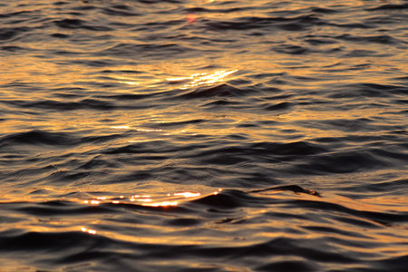 Evening sun over the tropical sea with waves