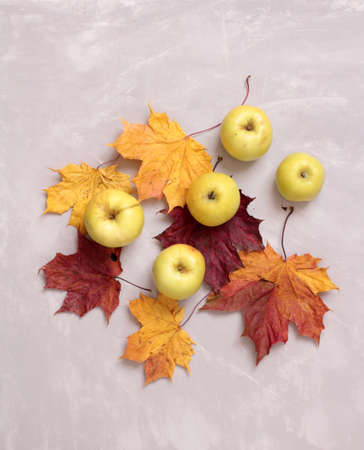 Green apple autumn leaves on a wooden tableの写真素材