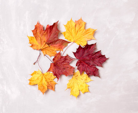 Multicolored autumn maple leaves on an old stone table