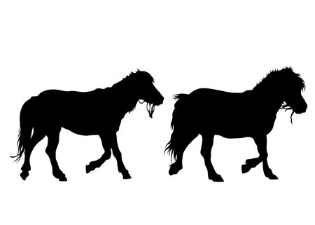 Horseman rides a horse on a white backgroundのイラスト素材