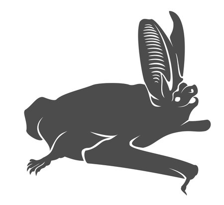 Silhouette of the sitting batのイラスト素材