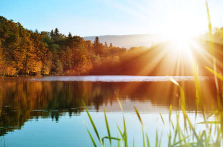Autumn forest reflected  in the water, illuminated by bright rays of the golden sun.の写真素材