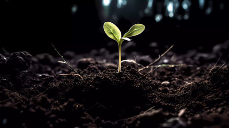 Green seedling illustrating concept of new life and environmental conservation with dark backgroundの素材