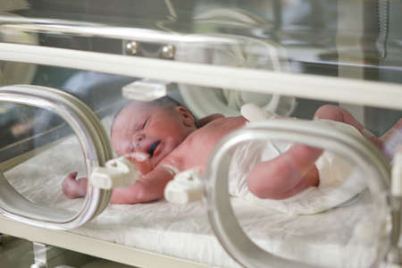 Newborn baby inside incubator in hospitalの写真素材